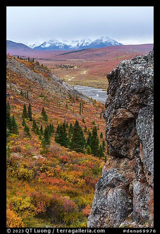 Rock outcrop, Savage River, and Alaska Range. Denali National Park (color)
