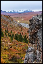 Rock outcrop, Savage River, and Alaska Range. Denali National Park ( color)