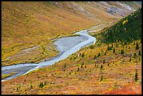 Savage River from above. Denali National Park ( color)