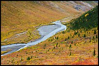 Savage River from above. Denali National Park ( color)