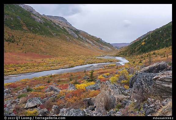 Savage River Valley in autumn. Denali National Park (color)