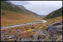 Savage River Valley in autumn. Denali National Park ( color)