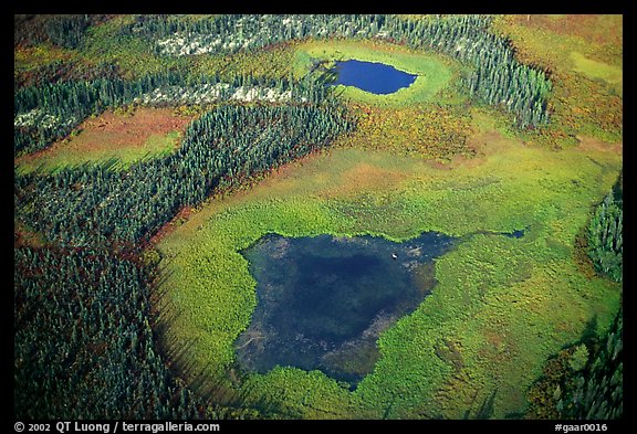 Aerial view of lake, tundra and taiga. Gates of the Arctic National Park (color)