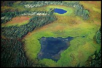 Aerial view of lake, tundra and taiga. Gates of the Arctic National Park, Alaska, USA.