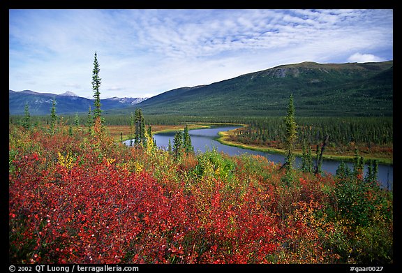 Alatna River valley near Circle Lake. Gates of the Arctic National Park, Alaska, USA.