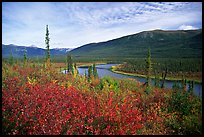 Alatna River valley near Circle Lake. Gates of the Arctic National Park, Alaska, USA.