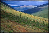 Arrigetch valley with caribou. Gates of the Arctic National Park, Alaska, USA. (color)