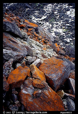 Lichen covered rocks at the base of Arrigetch Peaks. Gates of the Arctic National Park, Alaska, USA.