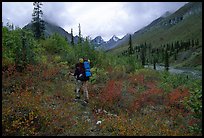 Backpacker in Arrigetch Creek. Gates of the Arctic National Park, Alaska (color)