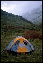 Camping in Arrigetch Valley. Gates of the Arctic National Park, Alaska