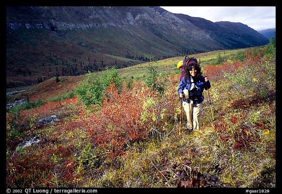 Backpacker in Arrigetch Creek. Gates of the Arctic National Park, Alaska