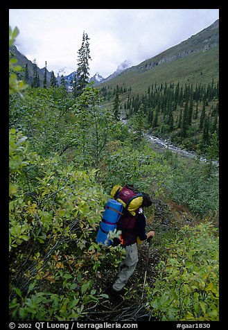 Backpacker in Arrigetch Creek. Gates of the Arctic National Park, Alaska (color)