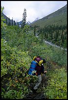 Backpacker in Arrigetch Creek. Gates of the Arctic National Park, Alaska