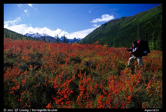 Backpacker in the tundra at the entrance of Arrigetch Creek. Gates of the Arctic National Park, Alaska