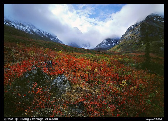 Arrigetch Peaks, tundra in fall colors, and clearing storm. Gates of the Arctic National Park, Alaska, USA.