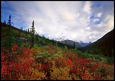 Arrigetch valley and clouds. Gates of the Arctic National Park, Alaska, USA. (color)