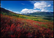 Alatna River valley. Gates of the Arctic National Park ( color)