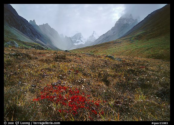 Tundra and Arrigetch Peaks. Gates of the Arctic National Park (color)