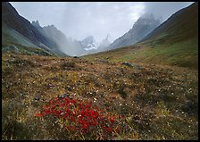 Tundra and Arrigetch Peaks. Gates of the Arctic National Park, Alaska, USA.