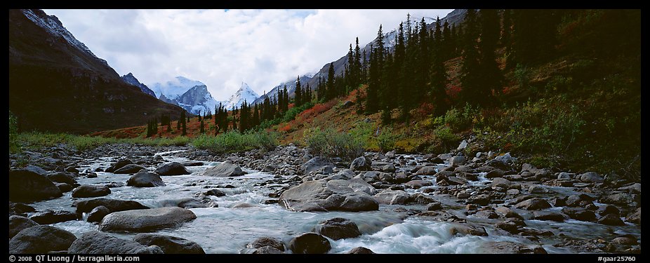Taiga scenery with stream. Gates of the Arctic National Park (color)