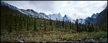 Taiga forest and peaks with fresh dusting of snow. Gates of the Arctic National Park (Panoramic color)