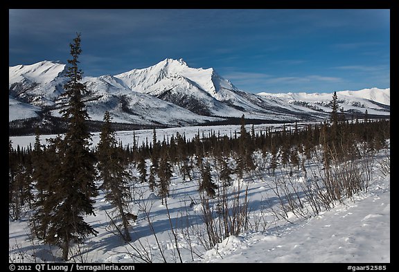 Winter landscape. Gates of the Arctic National Park (color)