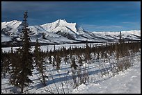 Winter landscape. Gates of the Arctic National Park, Alaska, USA.