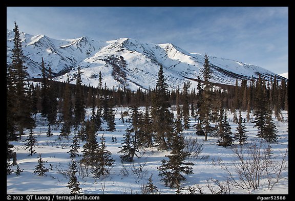 Boreal forest and brooks range in winter. Gates of the Arctic National Park (color)