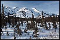 Boreal forest and brooks range in winter. Gates of the Arctic National Park, Alaska, USA.