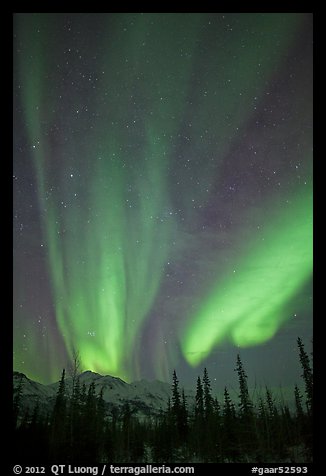 Northern lights over Brooks Range mountains. Gates of the Arctic National Park (color)