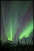 Northern lights over Brooks Range mountains. Gates of the Arctic National Park, Alaska, USA.