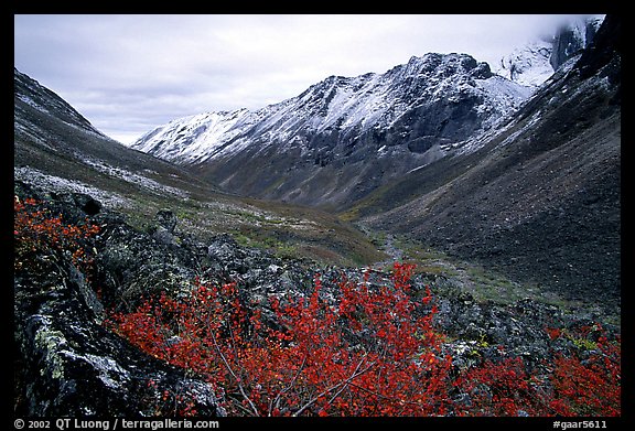 Aquarius Valley near Arrigetch Peaks. Gates of the Arctic National Park, Alaska, USA.