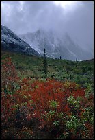 Tundra and Arrigetch Peaks in fog. Gates of the Arctic National Park, Alaska, USA.