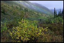 Arrigetch Valley in autumn. Gates of the Arctic National Park, Alaska, USA. (color)