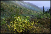 Arrigetch Valley in autumn. Gates of the Arctic National Park, Alaska, USA.