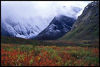 Tundra and Arrigetch Peaks partly hidden by clouds. Gates of the Arctic National Park, Alaska, USA.