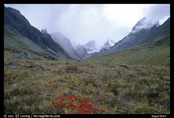 Tundra and Arrigetch Peaks. Gates of the Arctic National Park (color)