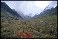 Tundra and Arrigetch Peaks. Gates of the Arctic National Park, Alaska, USA.