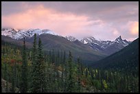 Arrigetch Peaks from Arrigetch Creek entrance at sunset. Gates of the Arctic National Park, Alaska, USA.