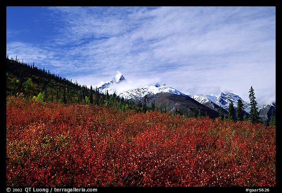 Arrigetch Peaks and tundra from Arrigetch Creek entrance, morning. Gates of the Arctic National Park (color)