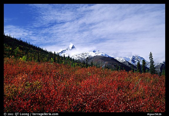 Arrigetch Peaks and tundra from Arrigetch Creek entrance, morning. Gates of the Arctic National Park, Alaska, USA.