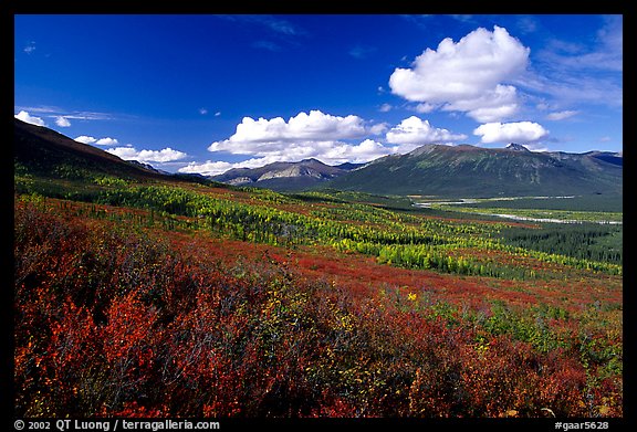 Picture: Alatna River valley. Gates of the Arctic National Park