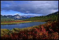 Alatna River valley near Circle Lake, evening. Gates of the Arctic National Park ( color)