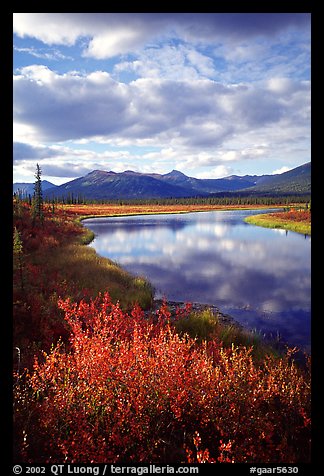 Alatna River valley near Circle Lake, evening. Gates of the Arctic National Park, Alaska, USA.