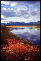 Alatna River valley near Circle Lake, evening. Gates of the Arctic National Park, Alaska, USA.