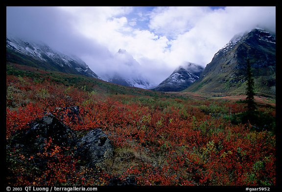 Arrigetch Peaks, tundra in fall colors, and clearing storm. Gates of the Arctic National Park, Alaska, USA.