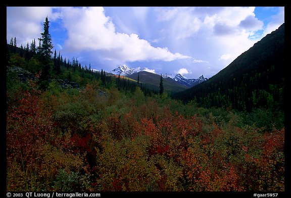 Distant Arrigetch Peaks seen from Arrigetch Creek. Gates of the Arctic National Park, Alaska, USA.