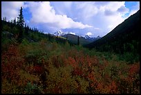 Distant Arrigetch Peaks seen from Arrigetch Creek. Gates of the Arctic National Park, Alaska, USA. (color)