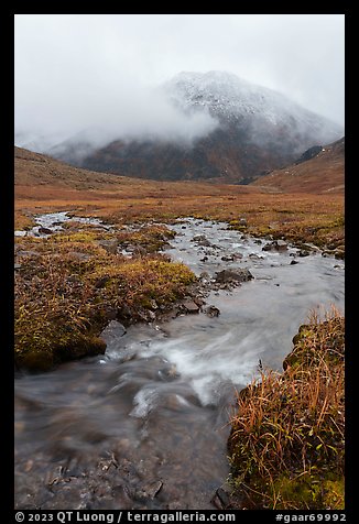 Tundra with creek and peak with fresh snow. Gates of the Arctic National Park, Alaska, USA.