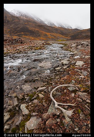 Antler, creek, and continental divide peaks. Gates of the Arctic National Park, Alaska, USA.